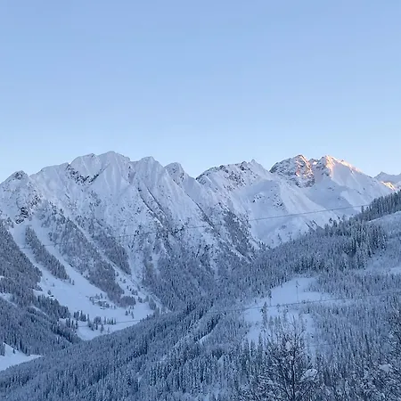 Διαμέρισμα Neuwalder Gerlos