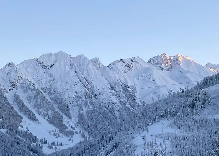 Appartamento Neuwalder Gerlos