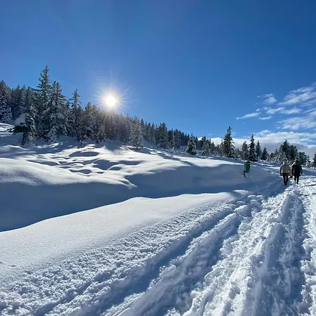 Apartament Neuwalder