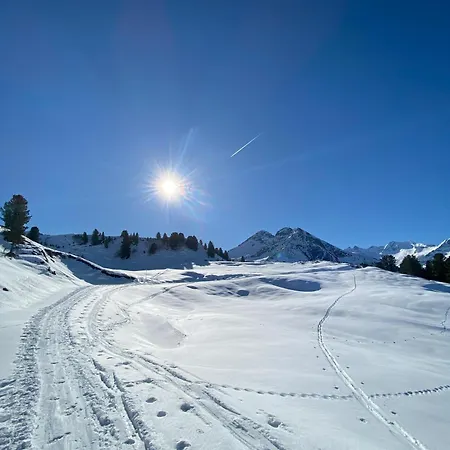 Apartament Neuwalder Gerlos